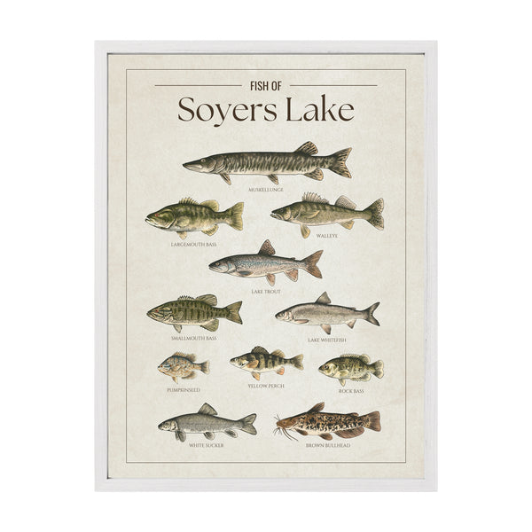 Soyers Lake Print
