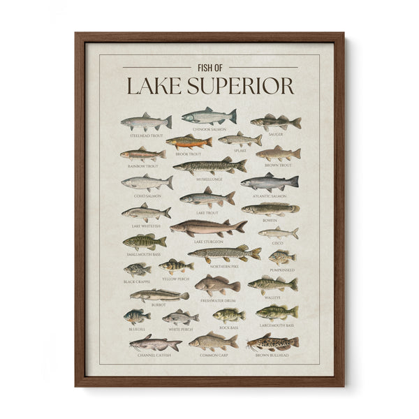 Lake Superior Print