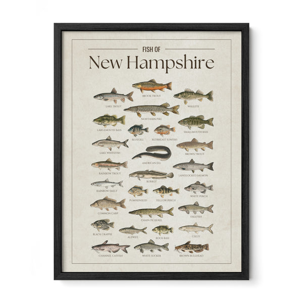 New Hampshire Print