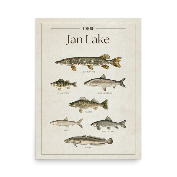 Jan Lake Print