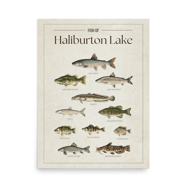 Haliburton Lake Print