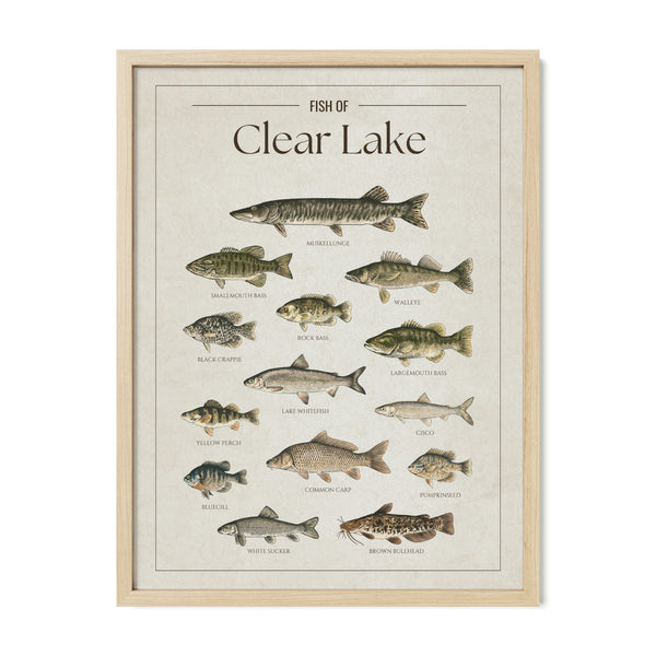 Clear Lake Print