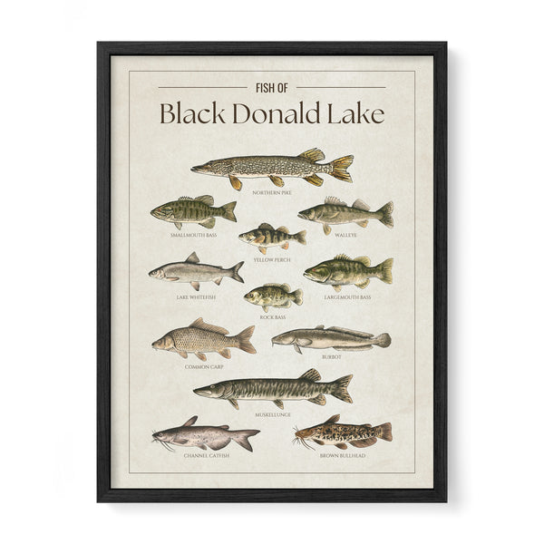 Black Donald Lake Print
