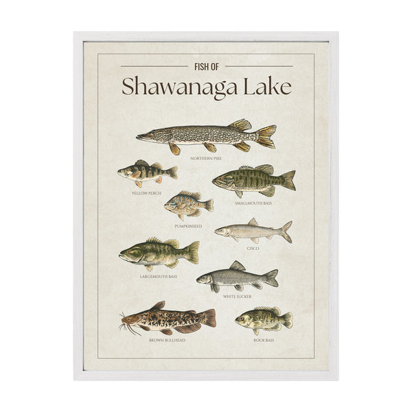 Shawanaga Lake Print
