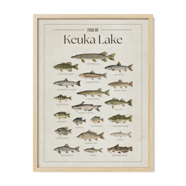 Keuka Lake Print