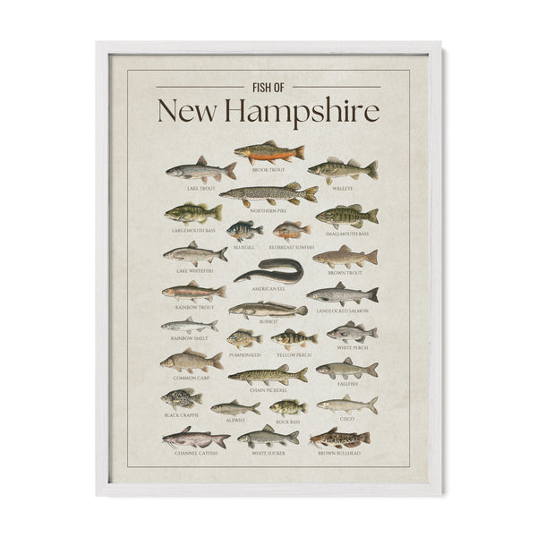 New Hampshire Print