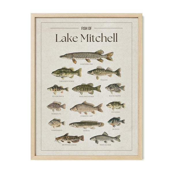 Lake Mitchell Print