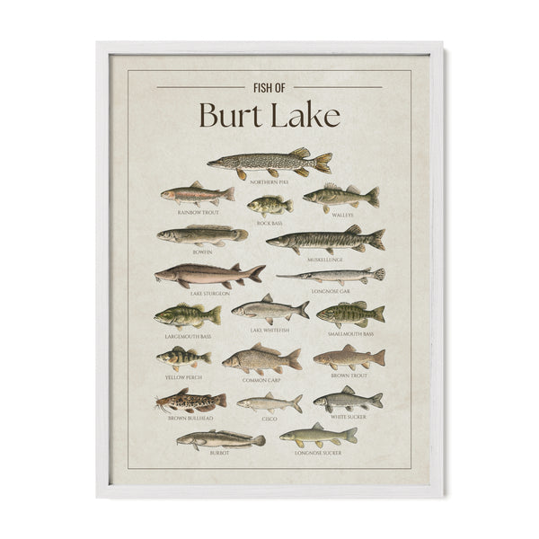 Burt Lake Print