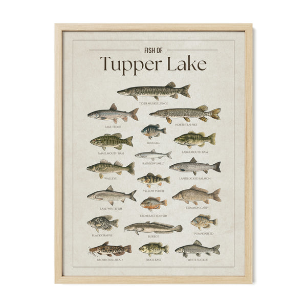 Tupper Lake Print