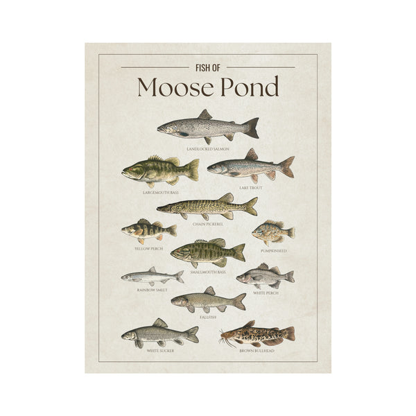 Moose Pond Print