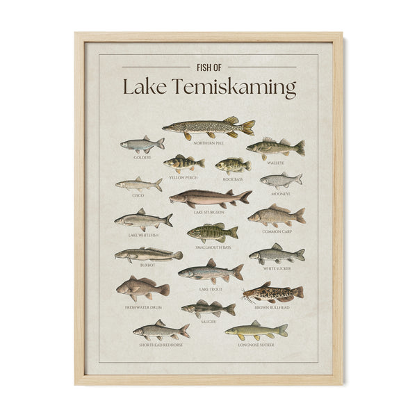 Lake Temiskaming Print
