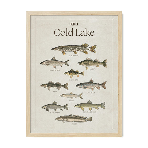 Cold Lake Print
