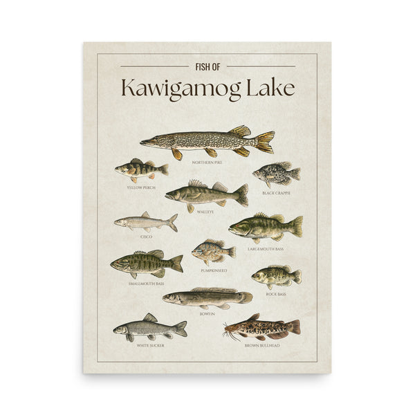 Kawigamog Lake Print