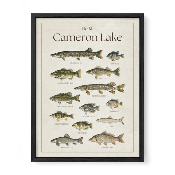 Cameron Lake Print