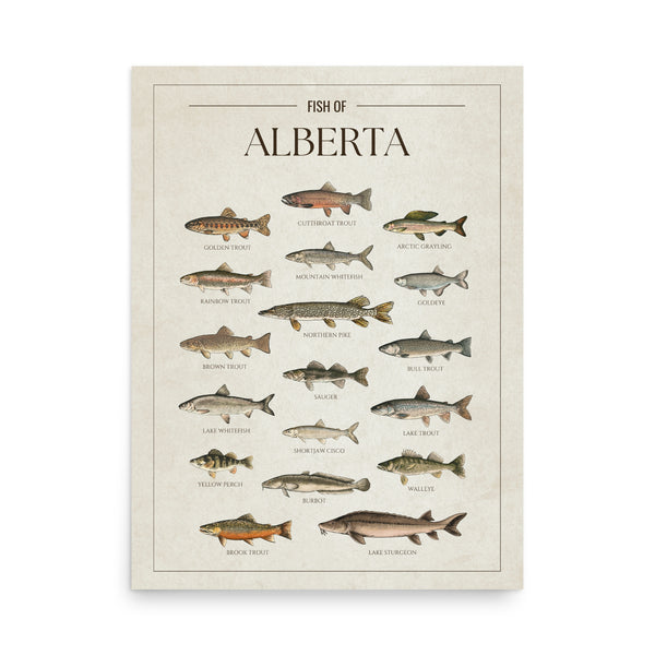 Alberta Print