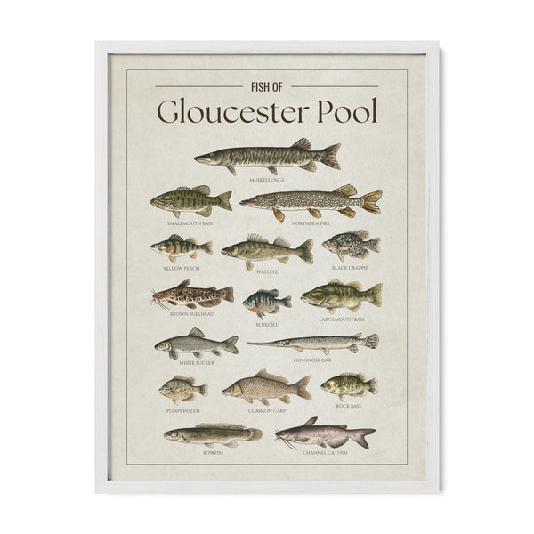 Gloucester Pool Print