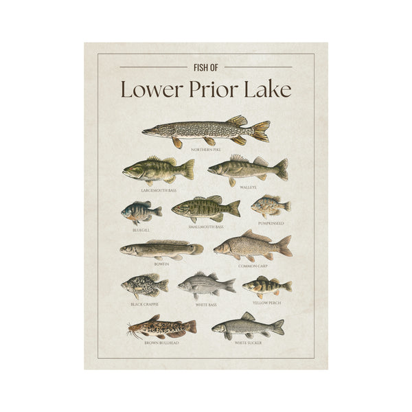 Lower Prior Lake Print