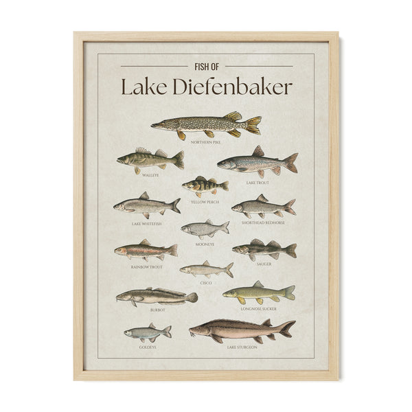 Lake Diefenbaker Print
