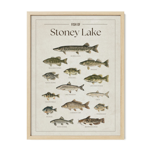 Stoney Lake Print