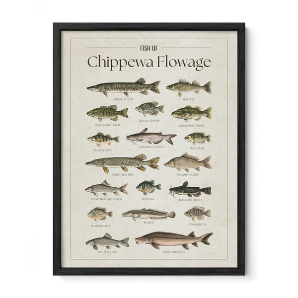 Chippewa Flowage Print