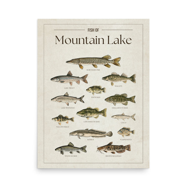 Mountain Lake Print
