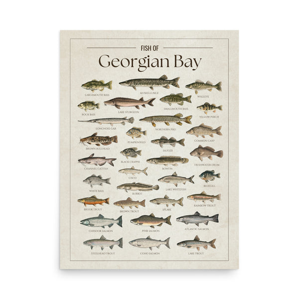 Georgian Bay Print