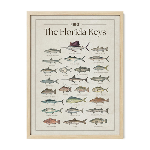 The Florida Keys Print