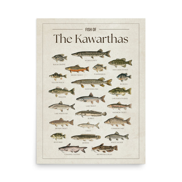 Kawarthas Print
