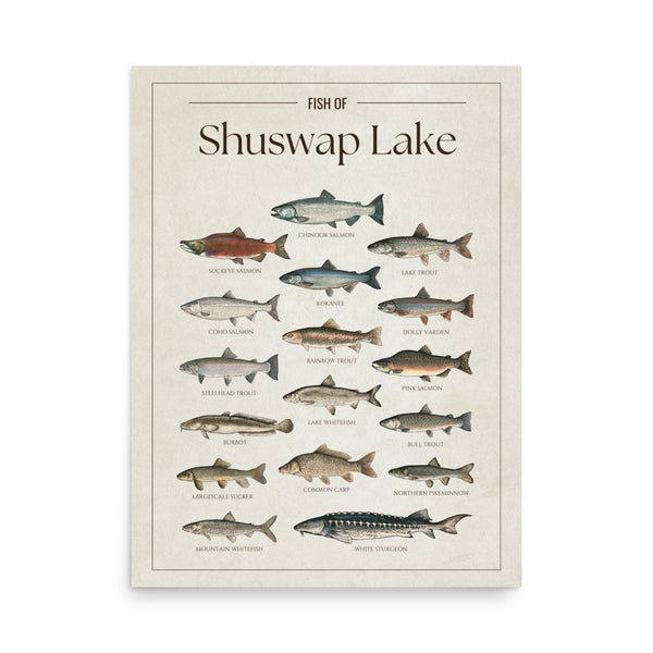 Shuswap Lake Print