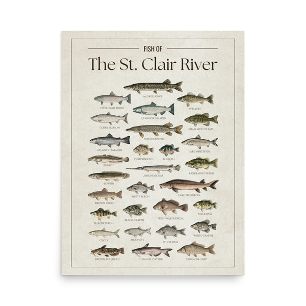 St. Clair River Print