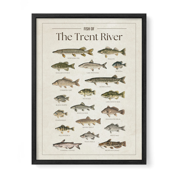 Trent River Print