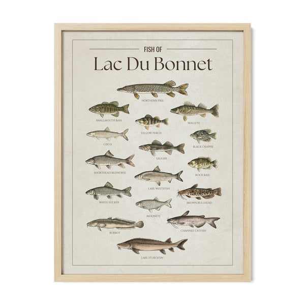 Lac Du Bonnet Print