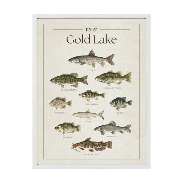 Gold Lake Print