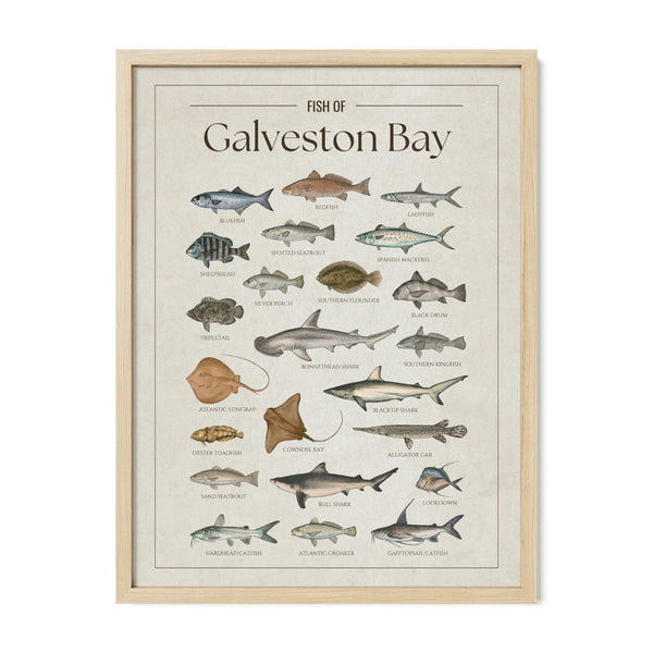 Galveston Bay Print