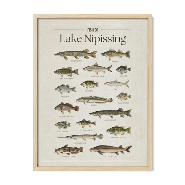 Lake Nipissing Print