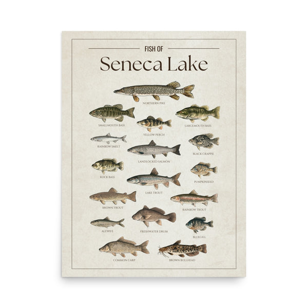 Seneca Lake Print