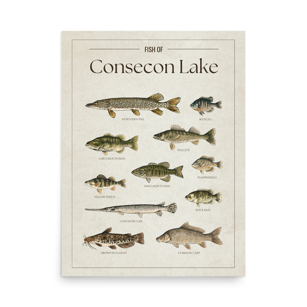 Consecon Lake Print