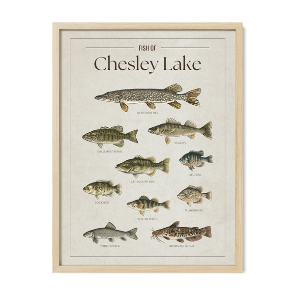 Chesley Lake Print