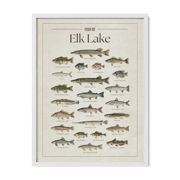 Elk Lake Print