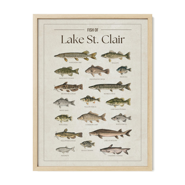 Lake St. Clair Print