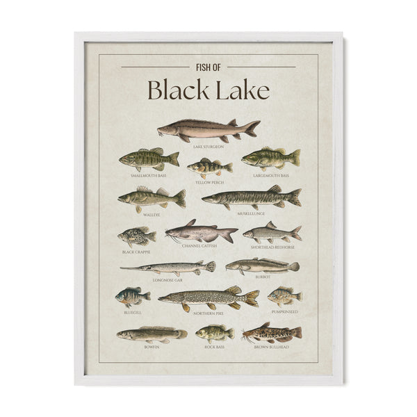 Black Lake (Michigan) Print