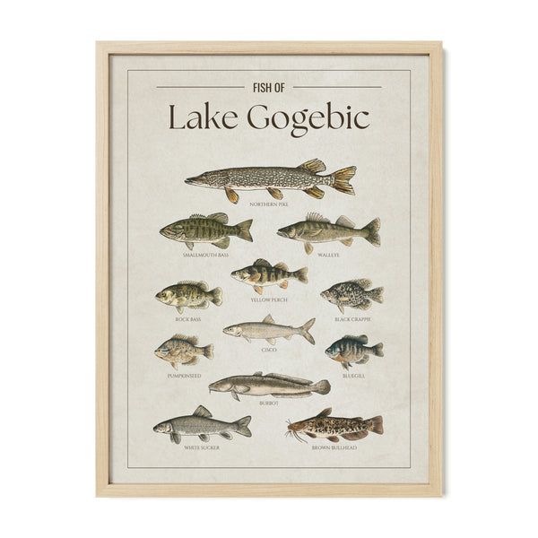 Lake Gogebic Print