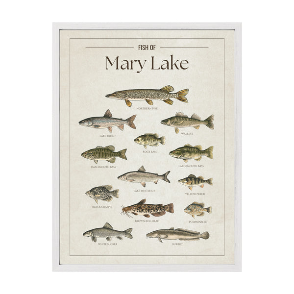 Mary Lake Print
