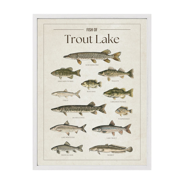 Trout Lake Print