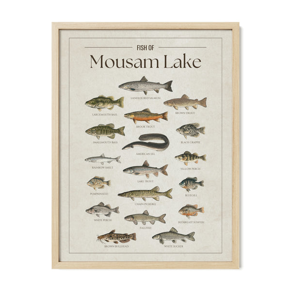 Mousam Lake Print
