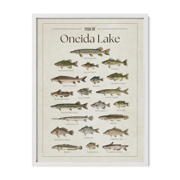 Oneida Lake Print