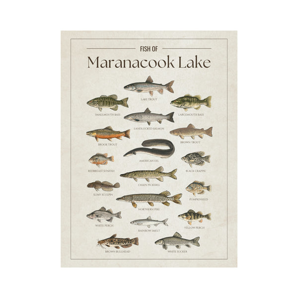Maranacook Lake Print