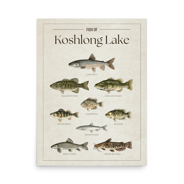 Koshlong Lake Print