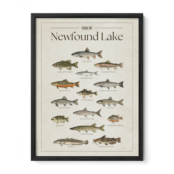 Newfound Lake Print