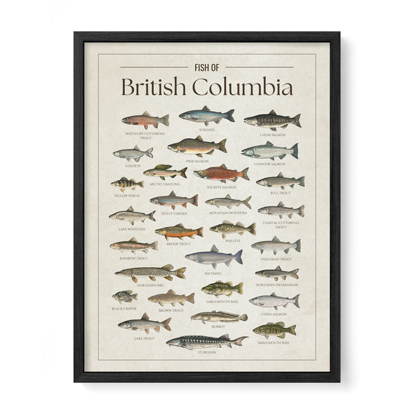 British Columbia Print
